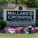 Mallards Crossing  Montville Duchek 6501